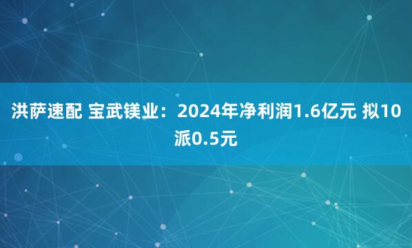 洪萨速配 宝武镁业：2024年净利润1.6亿元 拟10派0.5元