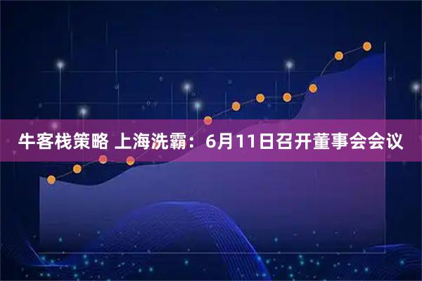 牛客栈策略 上海洗霸：6月11日召开董事会会议