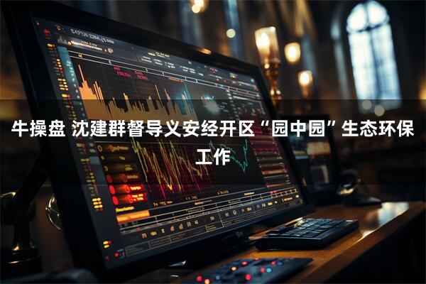 牛操盘 沈建群督导义安经开区“园中园”生态环保工作