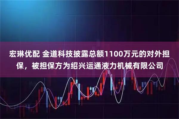 宏琳优配 金道科技披露总额1100万元的对外担保，被担保方为绍兴运通液力机械有限公司